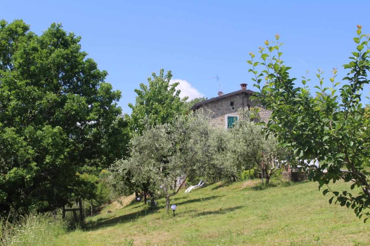 Agriturismo Angio Nel Cere Bracelli Eksteriør billede