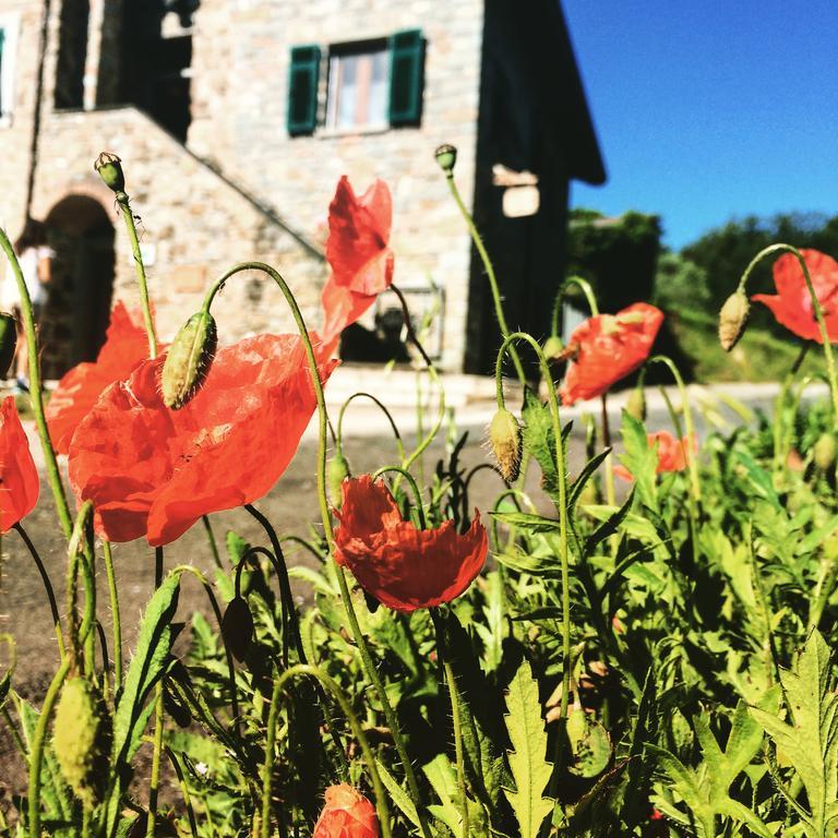 Agriturismo Angio Nel Cere Bracelli Eksteriør billede