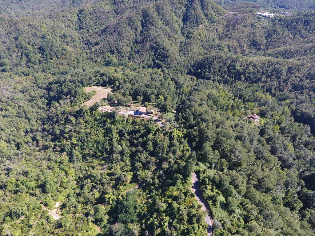 Agriturismo Angio Nel Cere Bracelli Eksteriør billede