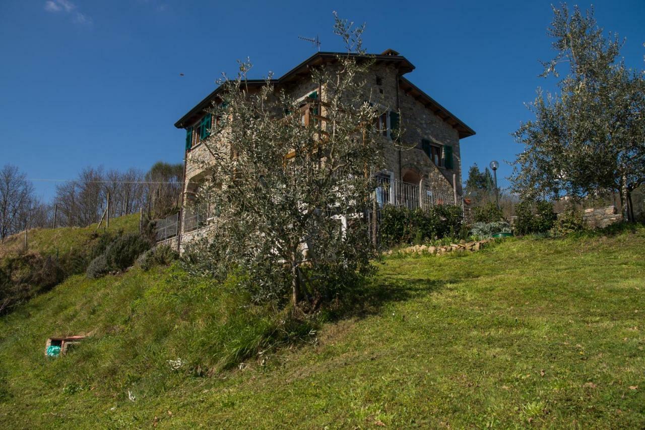 Agriturismo Angio Nel Cere Bracelli Eksteriør billede