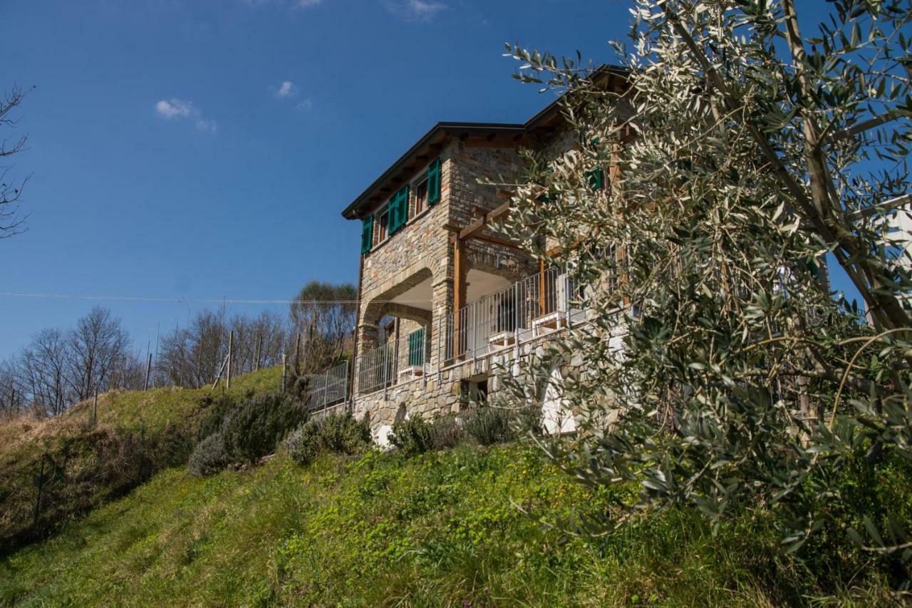 Agriturismo Angio Nel Cere Bracelli Eksteriør billede