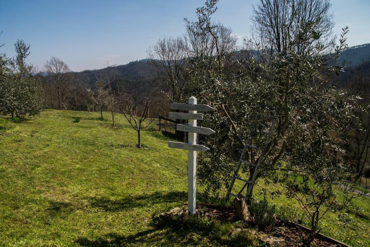Agriturismo Angio Nel Cere Bracelli Eksteriør billede